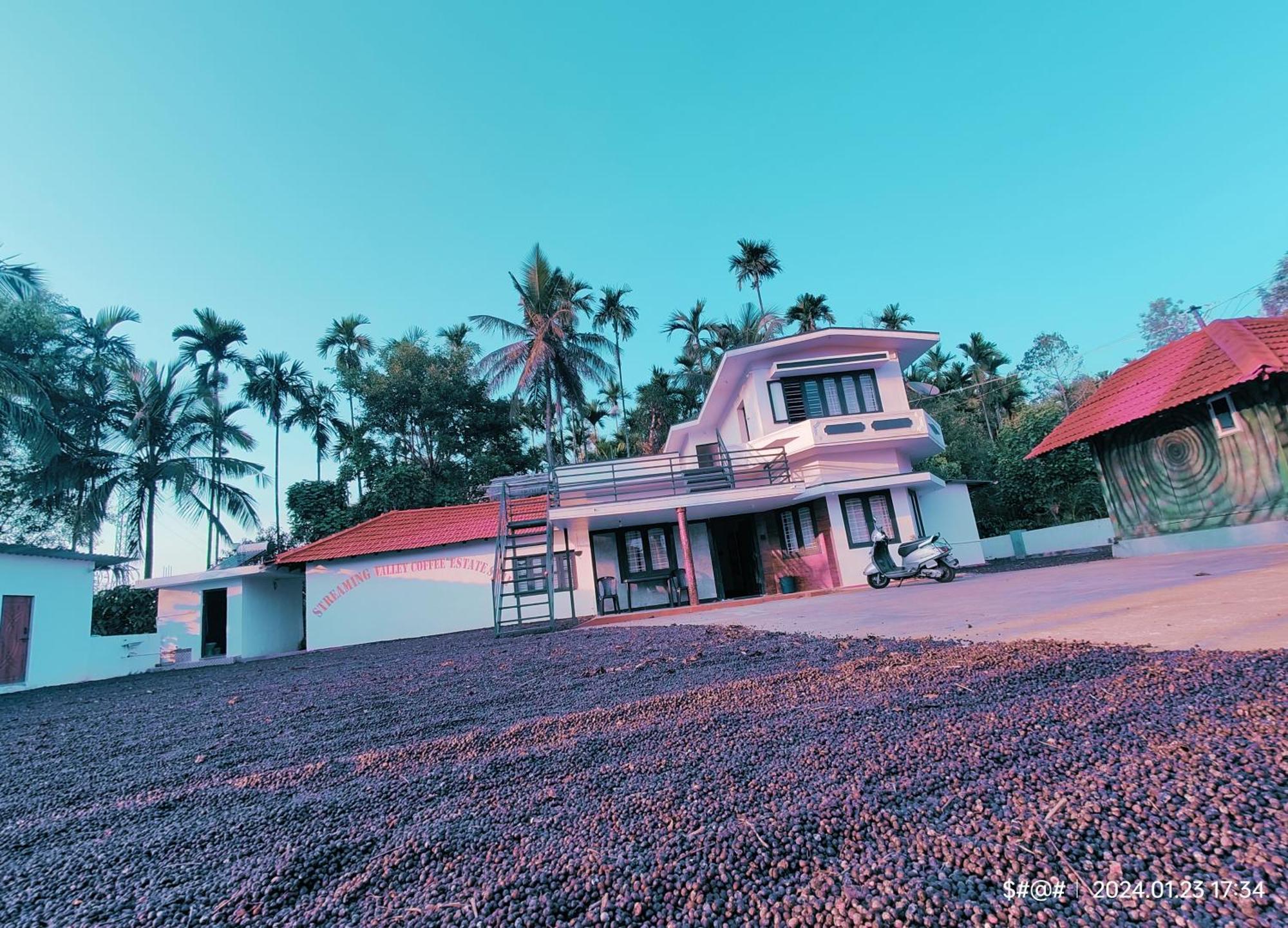Streaming Valley Independent Coffee Estate Stay Madikeri Zewnętrze zdjęcie